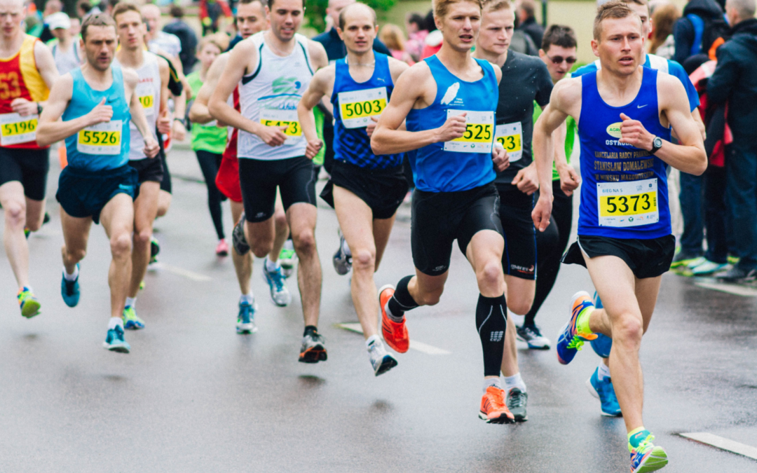 Compressport třeboňský půl/maraton