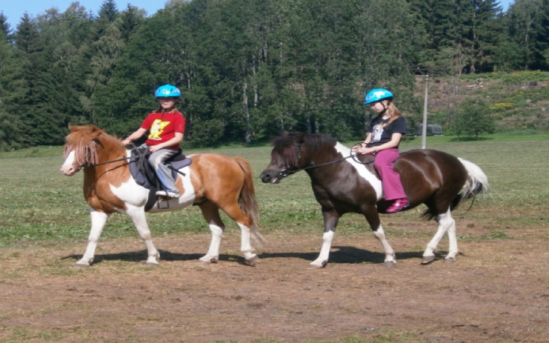 Tábor s koňmi – Lipno-Oříšek