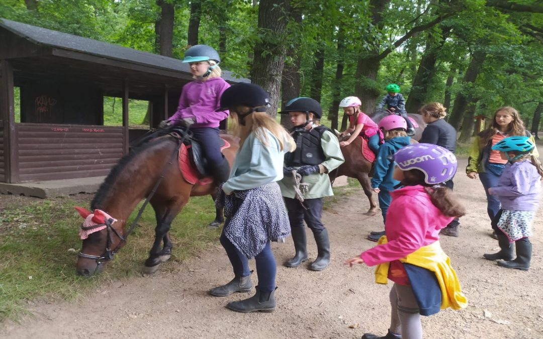 Tábor s koňmi – Lipno-Oříšek