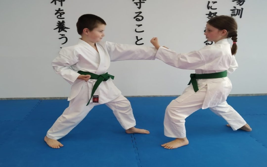 Letní tábor Poněšice – Karate Panthers